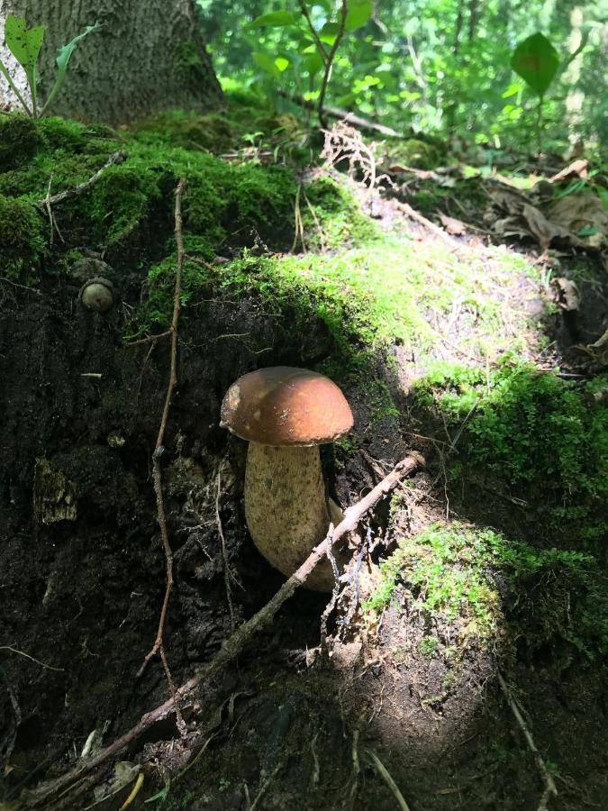 Swiety Spokoj Laka I Woda Pozezdrze Exterior foto