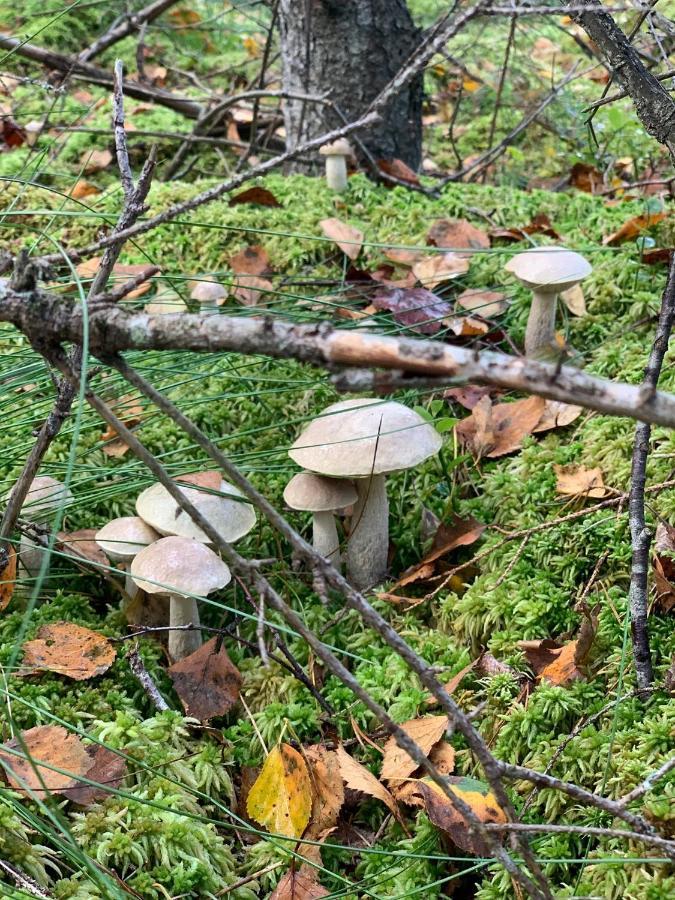 Swiety Spokoj Laka I Woda Pozezdrze Exterior foto