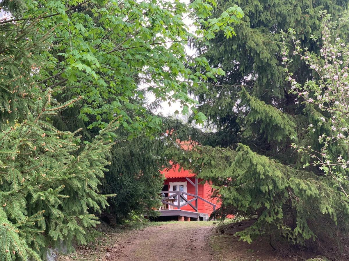 Swiety Spokoj Laka I Woda Pozezdrze Exterior foto