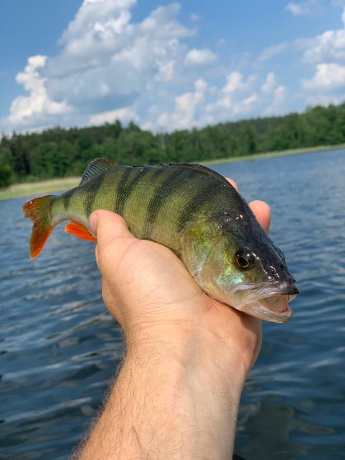 Swiety Spokoj Laka I Woda Pozezdrze Exterior foto